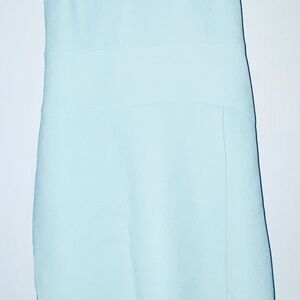 Reiss Mint Green  Backless Dress